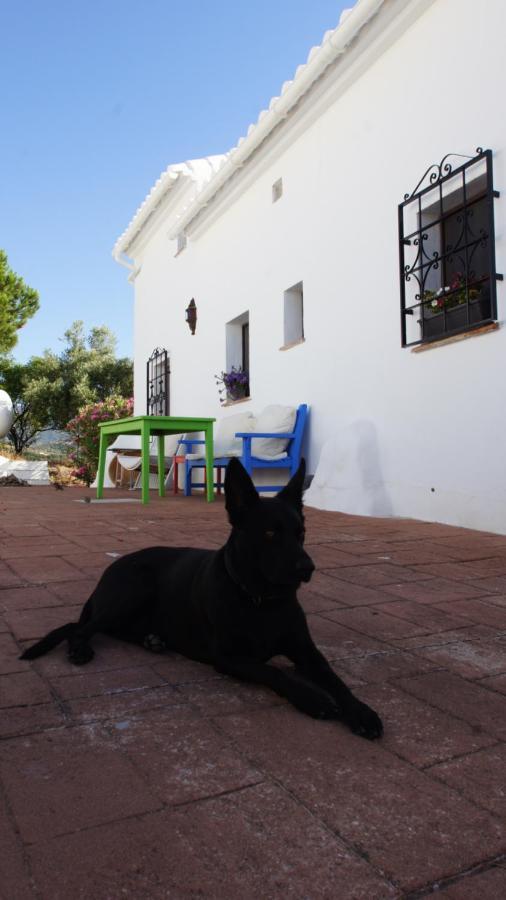 Casa Del Cielo Apartment Frigiliana Luaran gambar
